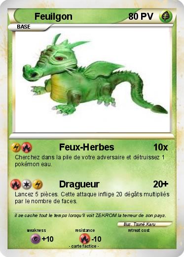 Pokemon Feuilgon