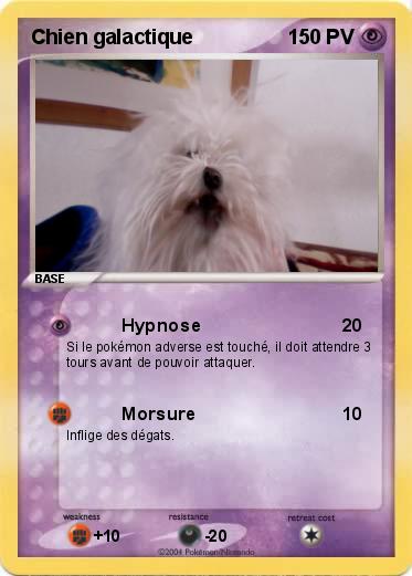 Pokemon Chien galactique