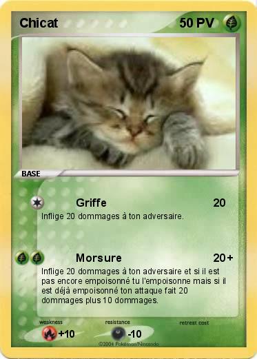 Pokemon Chicat