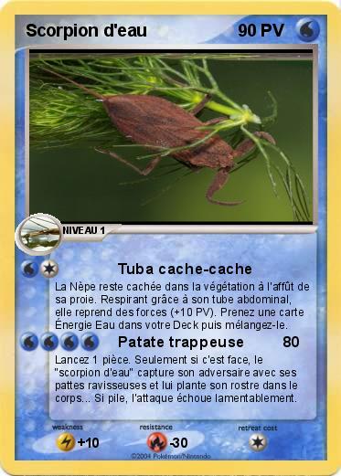Pokemon Scorpion d'eau
