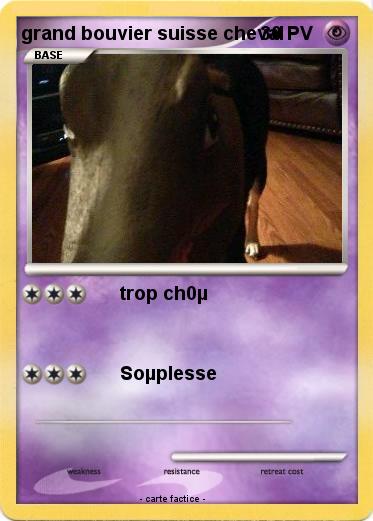 Pokemon grand bouvier suisse cheval