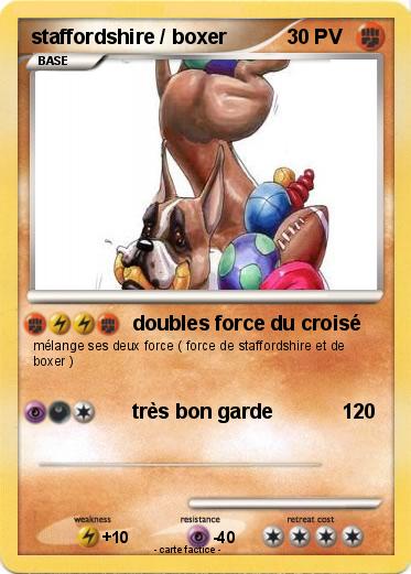 Pokemon staffordshire / boxer