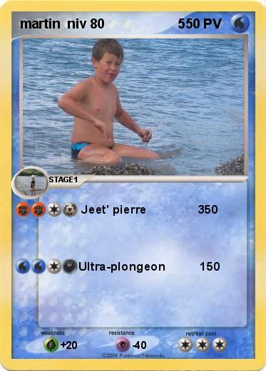Pokemon martin  niv 80                    5