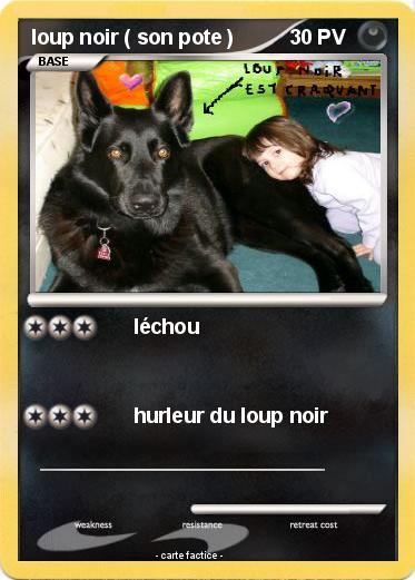 Pokemon loup noir ( son pote )