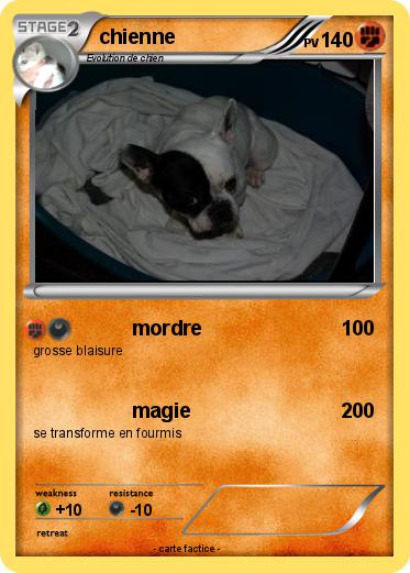 Pokemon chienne