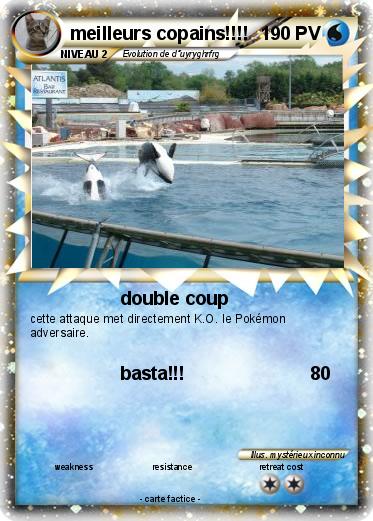 Pokemon meilleurs copains!!!!