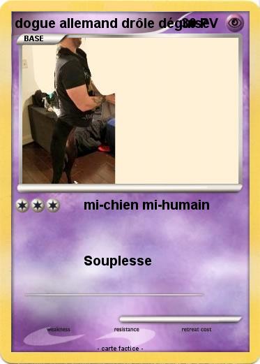 Pokemon dogue allemand drôle déguise