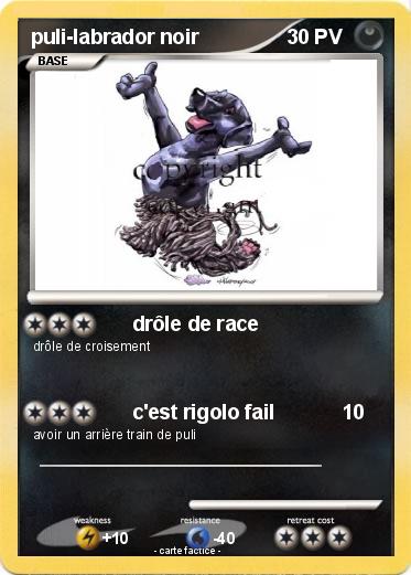 Pokemon puli-labrador noir