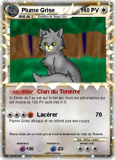 Pokemon Plume Grise