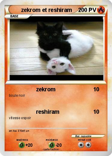 Pokemon zekrom et reshiram