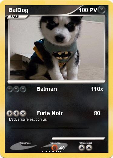 Pokemon BatDog