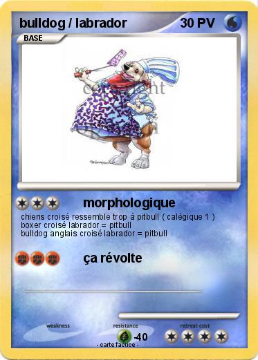 Pokemon bulldog / labrador