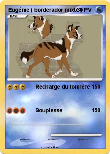 Pokemon Eugénie ( borderador mixte )
