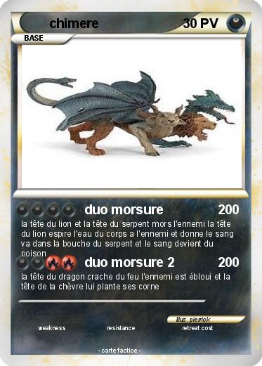 Pokemon chimere
