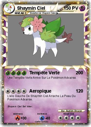 Pokemon Shaymin Ciel