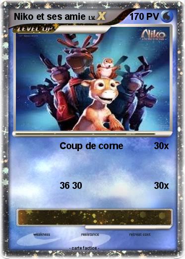 Pokemon Niko et ses amie