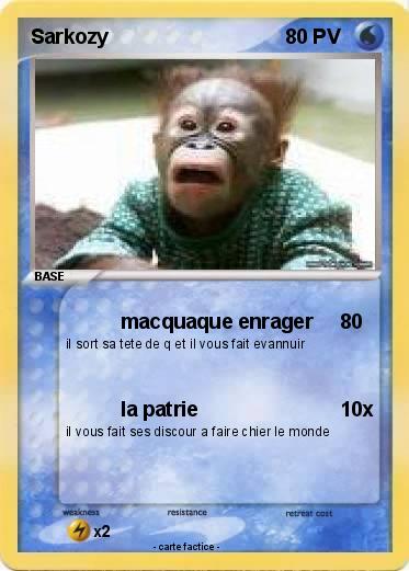 Pokemon Sarkozy