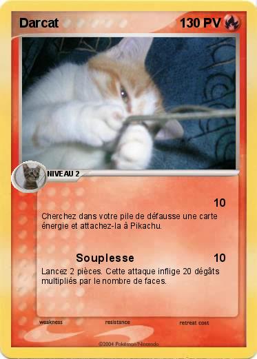 Pokemon Darcat