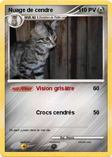 Pokemon Nuage de cendre