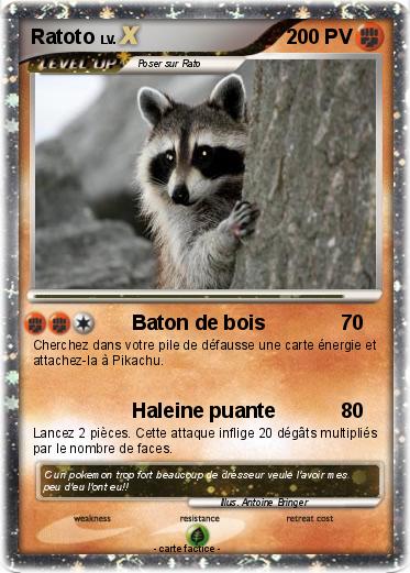 Pokemon Ratoto