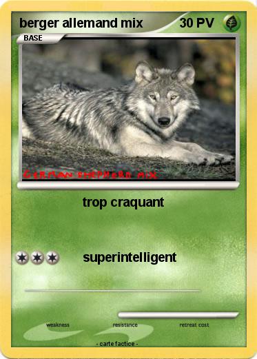 Pokemon berger allemand mix