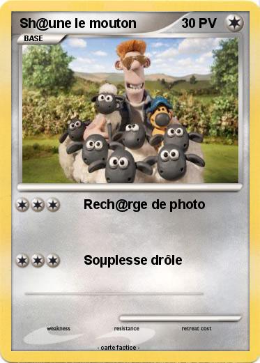 Pokemon Sh@une le mouton