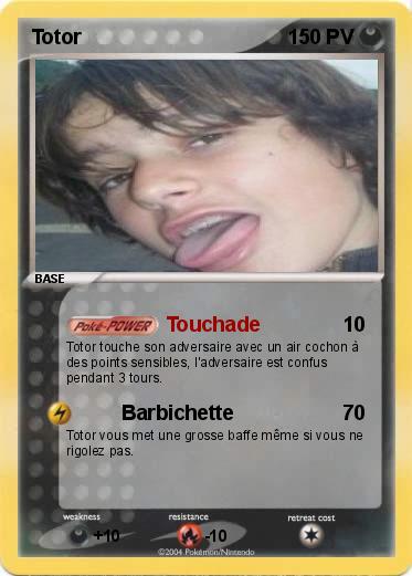 Pokemon Totor