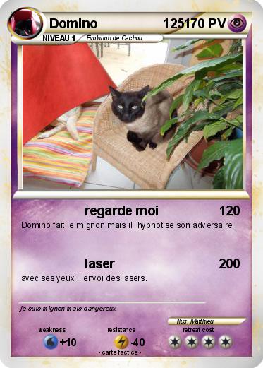 Pokemon Domino                  125