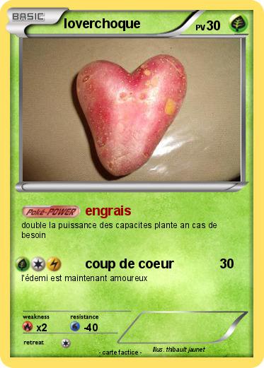 Pokemon loverchoque