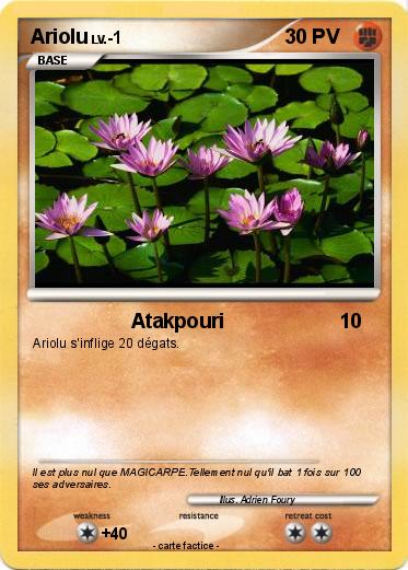 Pokemon Ariolu