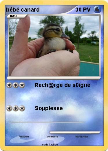 Pokemon bébé canard