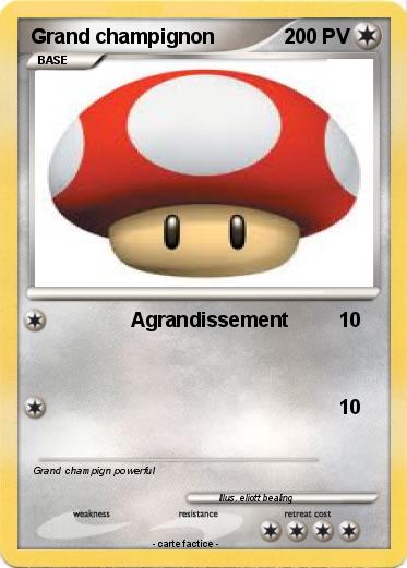 Pokemon Grand champignon