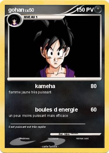 Pokemon gohan