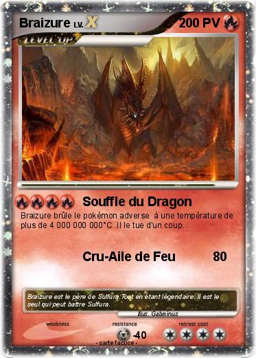 Pokemon Braizure