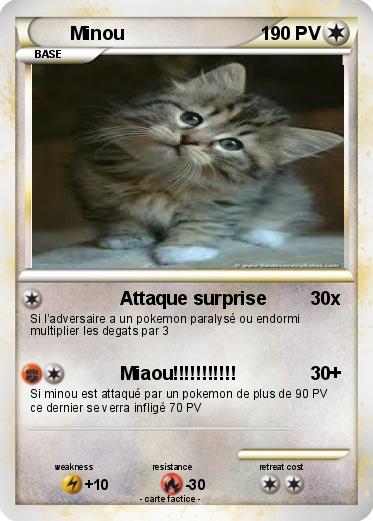 Pokemon Minou