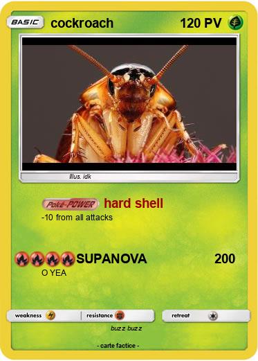 Pokemon cockroach