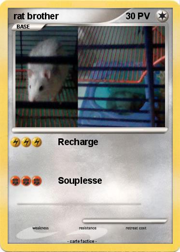Pokemon rat brother