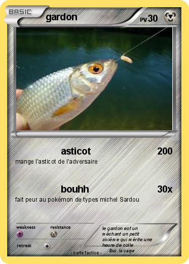 Pokemon gardon