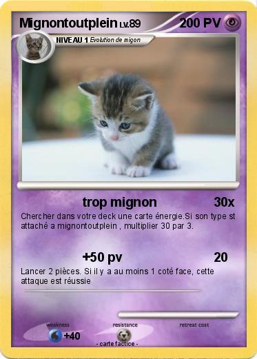 Pokemon Mignontoutplein