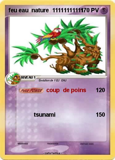 Pokemon feu eau  nature  11111111111