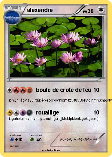 Pokemon alexendre