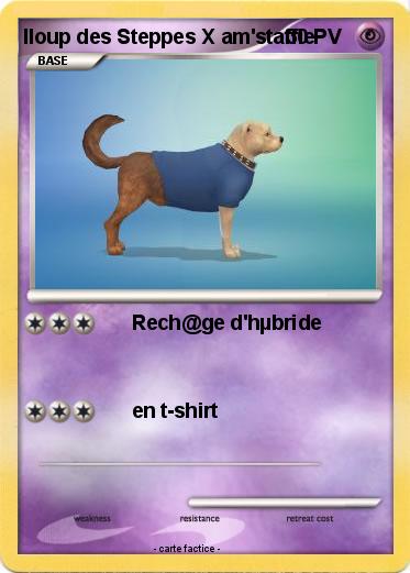 Pokemon lloup des Steppes X am'staffie