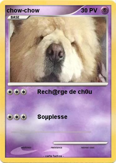 Pokemon chow-chow