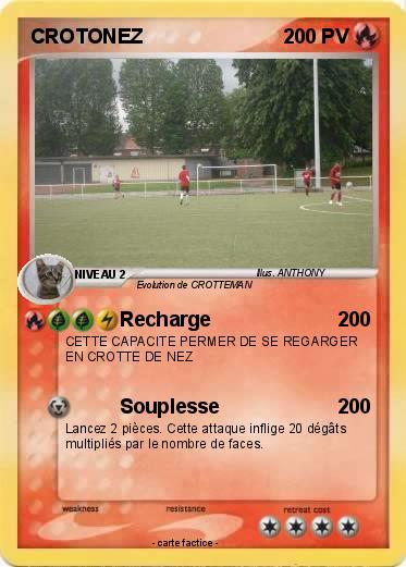 Pokemon CROTONEZ