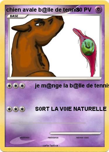 Pokemon chien avale b@lle de tennis