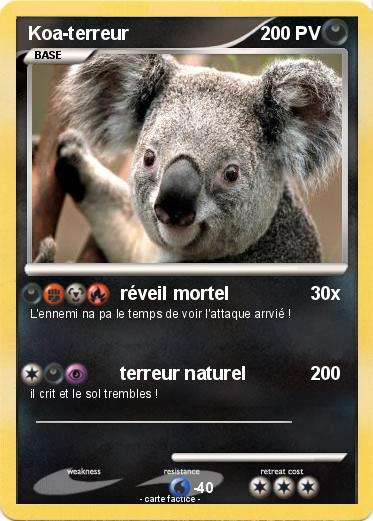 Pokemon Koa-terreur