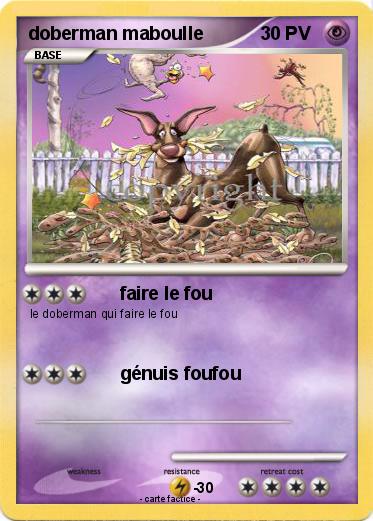 Pokemon doberman maboulle
