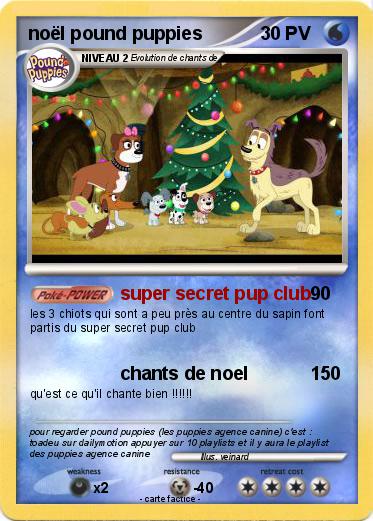 Pokemon noël pound puppies