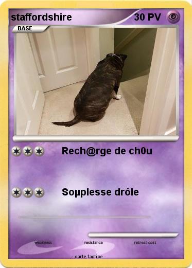 Pokemon staffordshire