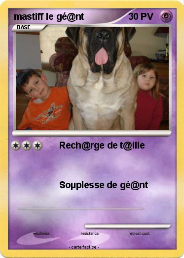 Pokemon mastiff le gé@nt